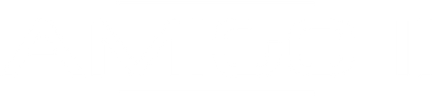 AMIGO II