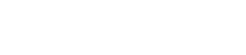 AMIGO II